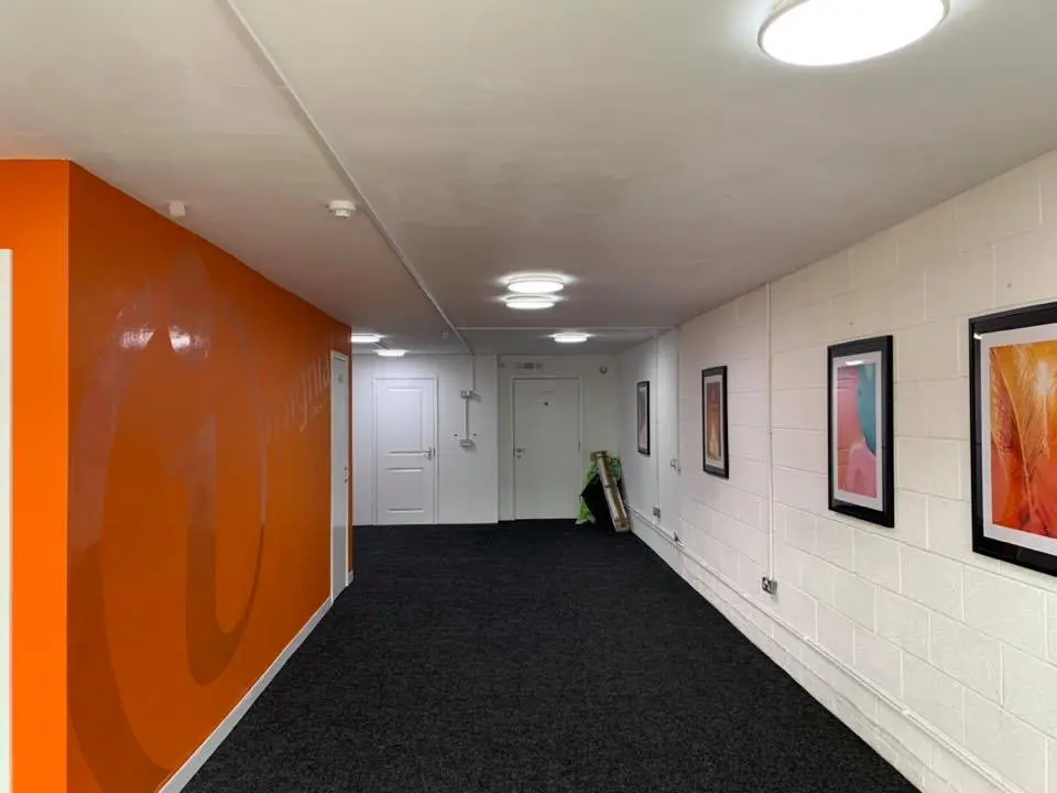Insignia Creative new creative studio