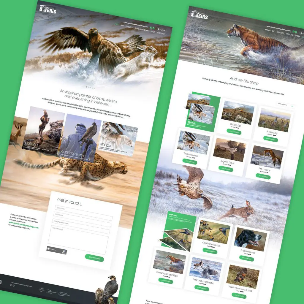 Devon website ecommrce shop creation