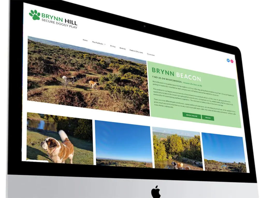 brynn hill cornwall website design