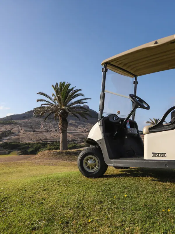 madeira golf website design