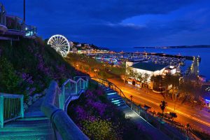 Torquay at night and harbour