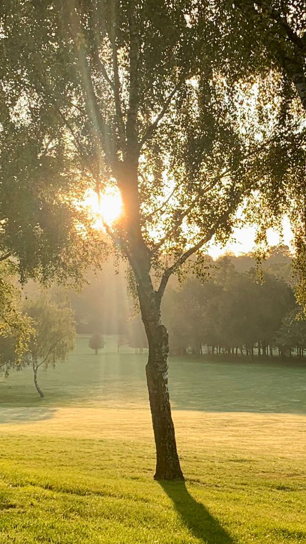 Green Grass Golf content production