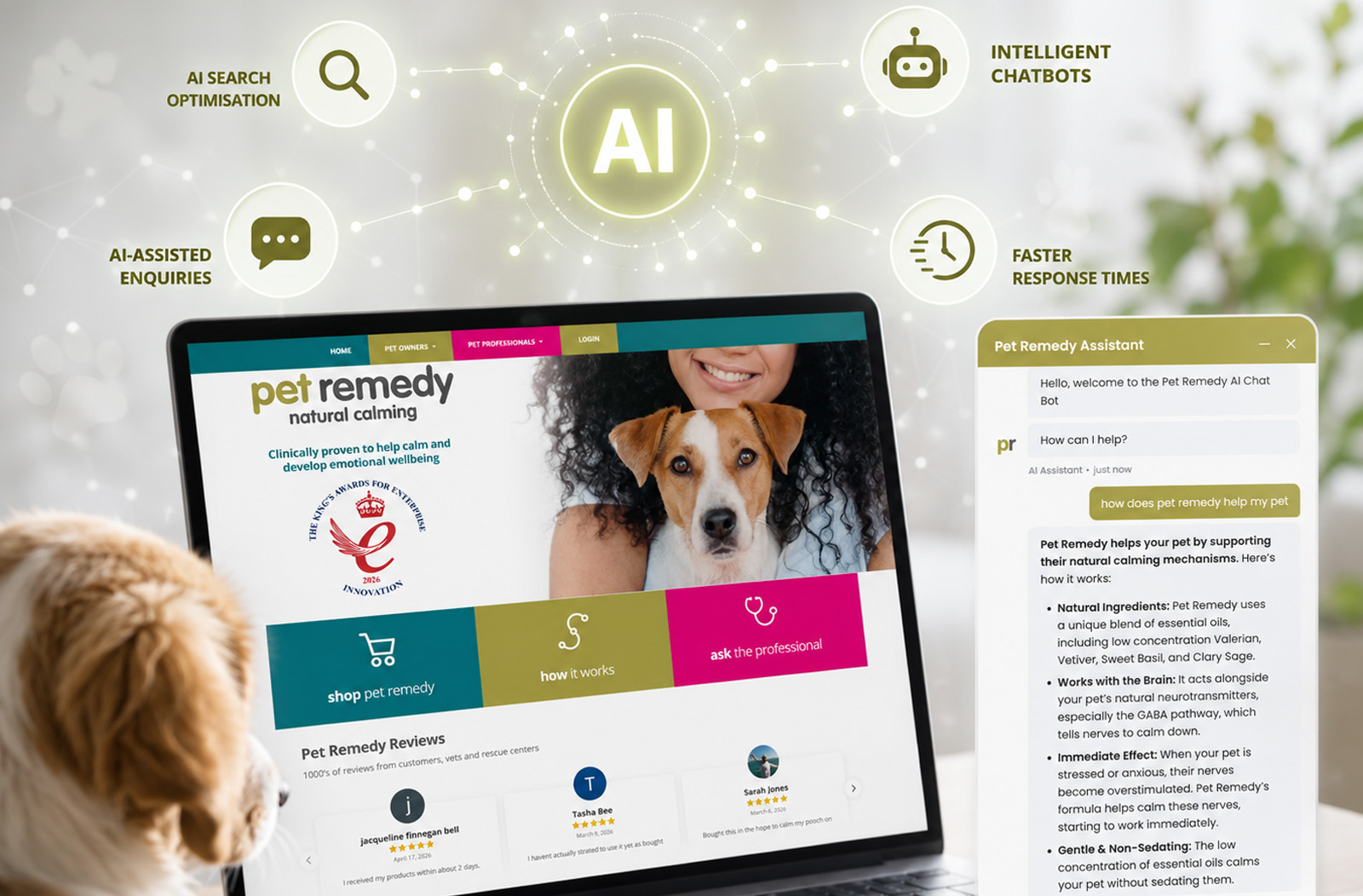 Pet Remedy AI-powered support and search visibility